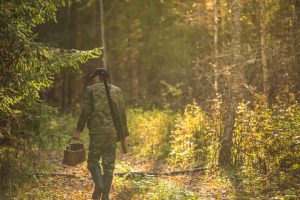 man in the woods